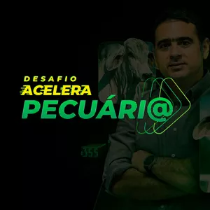 Capa do curso Desafio Acelera Pecuária